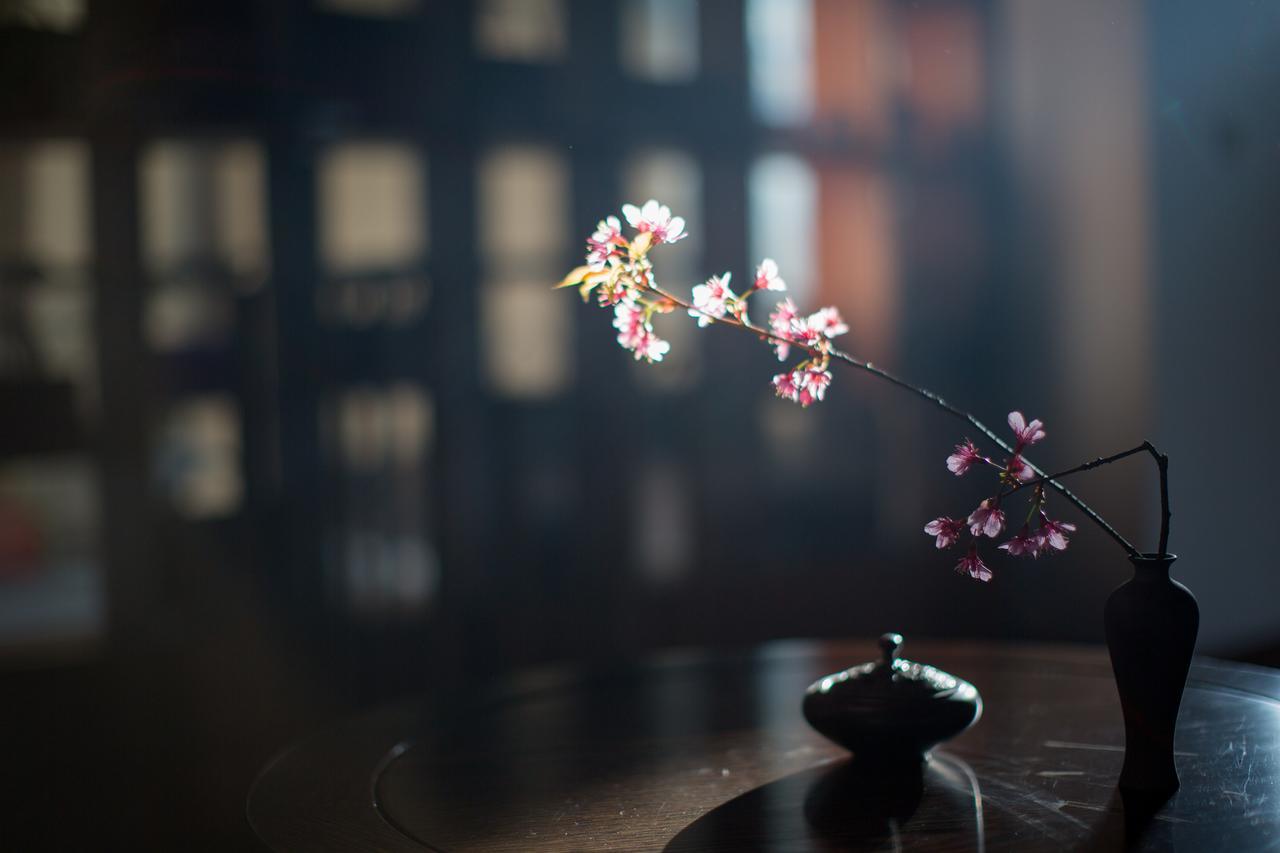 Walden Lugu Lake Zen Retreat Ninglang Yi Εξωτερικό φωτογραφία